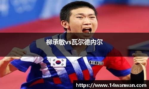 柳承敏vs瓦尔德内尔