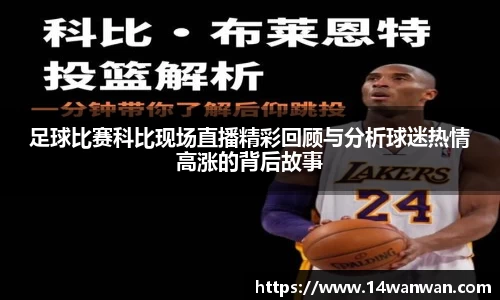 南宫NG28