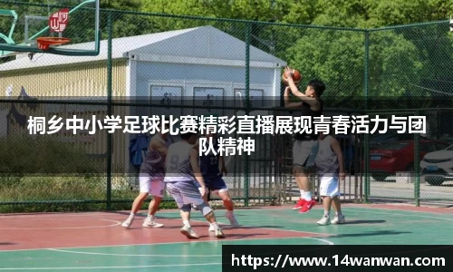 南宫NG28